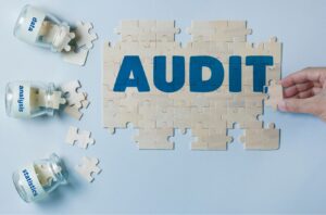 The DOL Audit: How Plan Sponsors Prepare and What to Expect